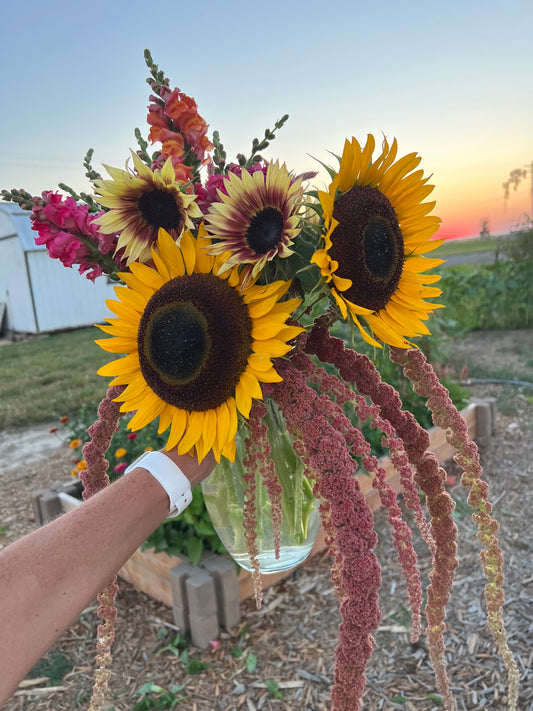 Yellow Boy Sunflower Seeds