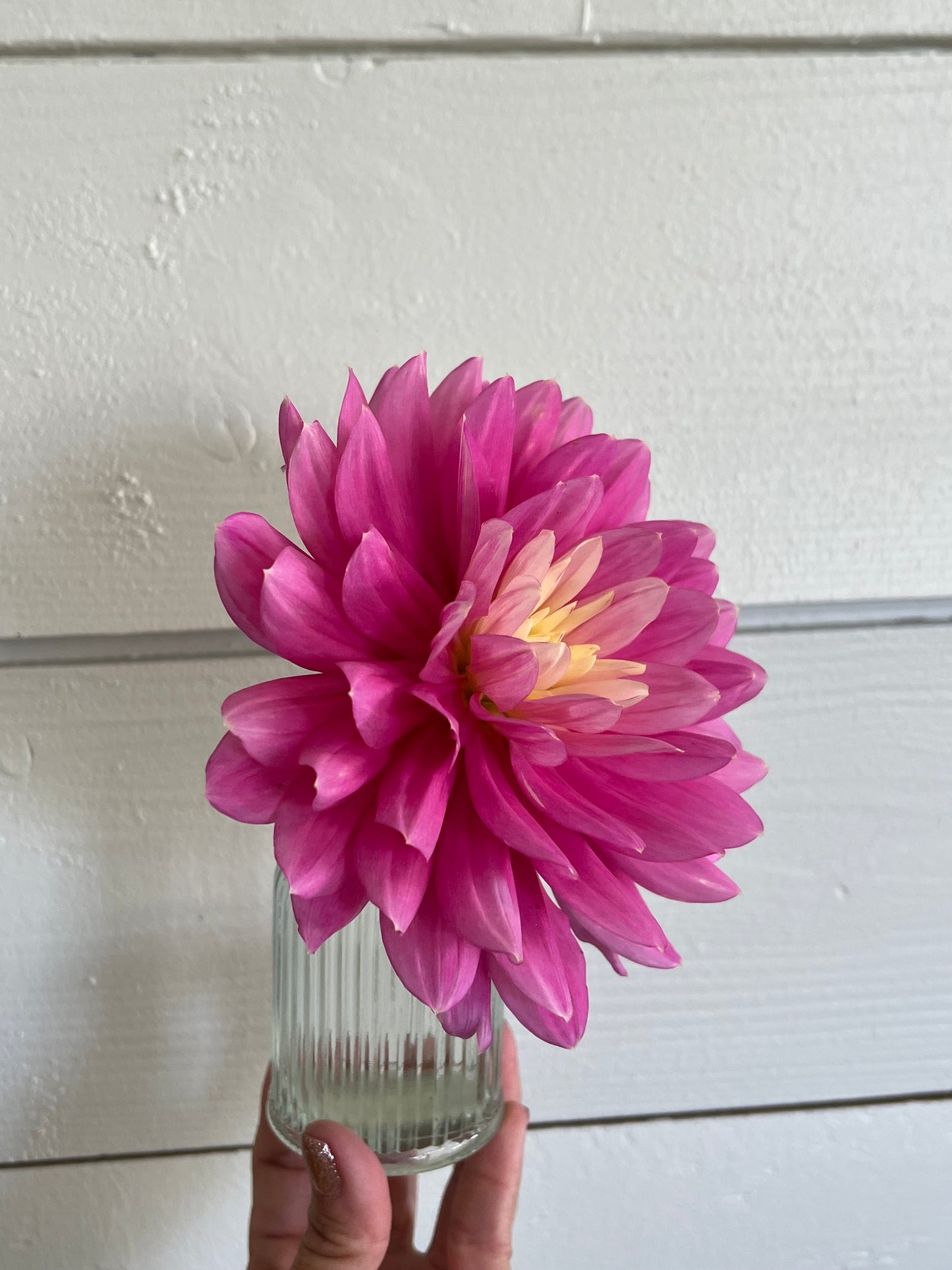 Hollyhill Pink Martini