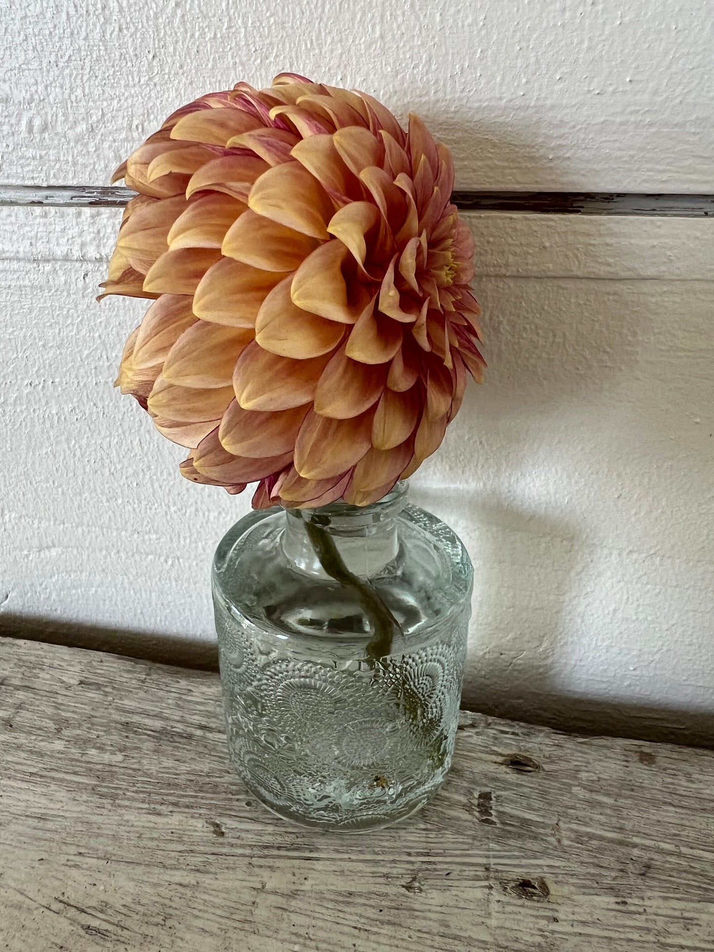 RM Raspberry Twinkle 2025 release